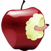 Image result for Apple with Worm Cartoon