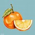 Image result for Orange Fruit Drawing