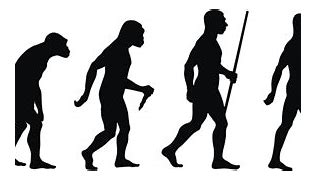 Image result for Funny Evolution PNG