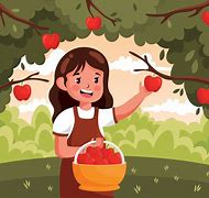 Image result for Apple-Picking Itself From an Apple Tree Art