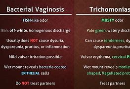 Image result for Bacterial Vaginosis Medication