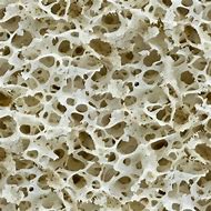Image result for Bone Seem Less Texture