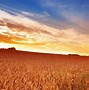 Image result for Road Background with Sunset Side View