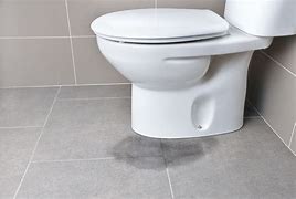 Image result for Bathroom Clogged Toilet