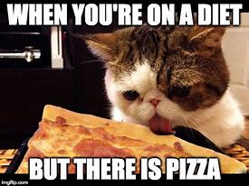 Image result for Pizza Cat Meme