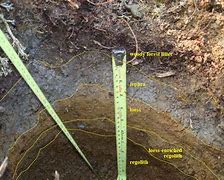 Image result for Soil Sampling Site Investigation