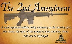 Image result for Bill of Rights 2nd Amendments Cartoon
