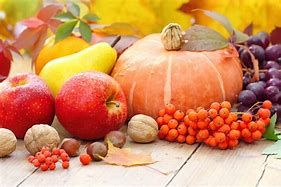 Image result for Autumn Season Fruits