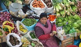 Image result for Definition of Food Security