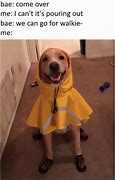 Image result for Rainy Day Dog Meme