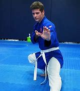 Image result for Kung Fu Martial Arts