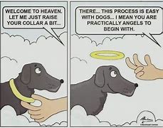 Image result for Dog Heaven Meme