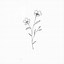 Image result for Artsy Flower Drawings