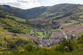 Image result for Faiveley Beaujolais Villages
