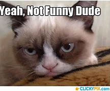 Image result for Not Funny Face