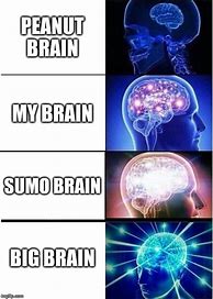 Image result for Expand Brain Meme