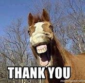 Image result for Thank You Horse Meme