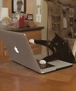 Image result for Don't Touch My Desk