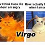 Image result for Virgo Memes Funny