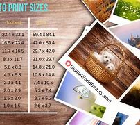 Image result for 5 X 7 Size Print Out
