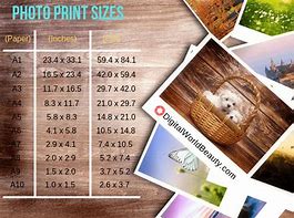 Image result for Popular Photo Print Sizes
