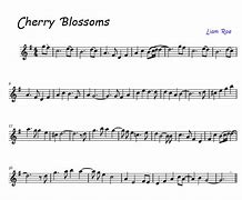 Image result for Vera Bradley Cherry Blossoms