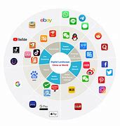 Image result for China's Unique Internet Ecosystem