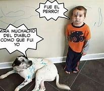 Image result for Muchacho Funny
