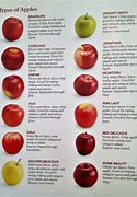 Image result for Most Popular Apple Varieties
