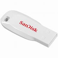 Image result for SanDisk Cruzer Blade Cannon Detech