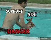 Image result for Meme Deer Pool