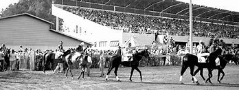 Image result for horse racing history