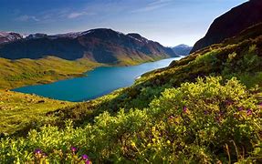 Image result for Norwegian Nature