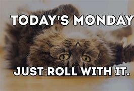 Image result for Monday Afternoon MEME Funny