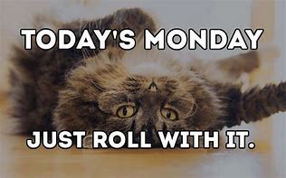 Image result for Happy Monday Funny Pictures