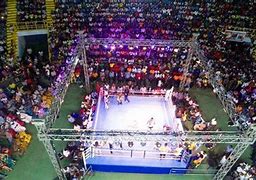 Image result for Boxing Arena