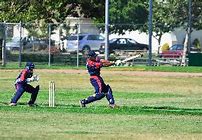 Image result for Teegar Cricket