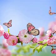 Image result for Flower iPad Wallpaper Free Download