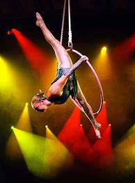 Image result for Aerial Hoop Costumes