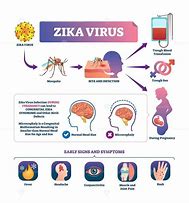 Image result for Zika Virus Poem