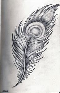 Image result for Feather Tattoo Sketch