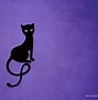 Image result for Purple Cat Desktop Wallpaper