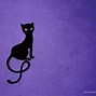 Image result for Purple Cat Wallpaper