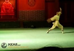 Image result for Shaolin Kung Fu Snake Style Bassic