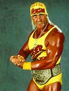 Image result for Hulk Hogan Wrestler