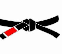 Image result for Red and Black Belt