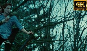 Image result for Bella and Edward in the Tree