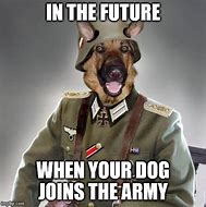 Image result for Army Dog Funny
