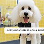 Image result for Best Dog Grooming Clippers