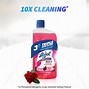 Image result for Lizol Floor Cleaner Logo